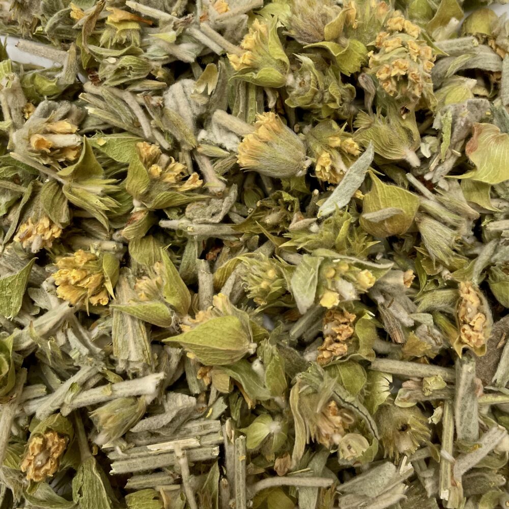 چای کوهی