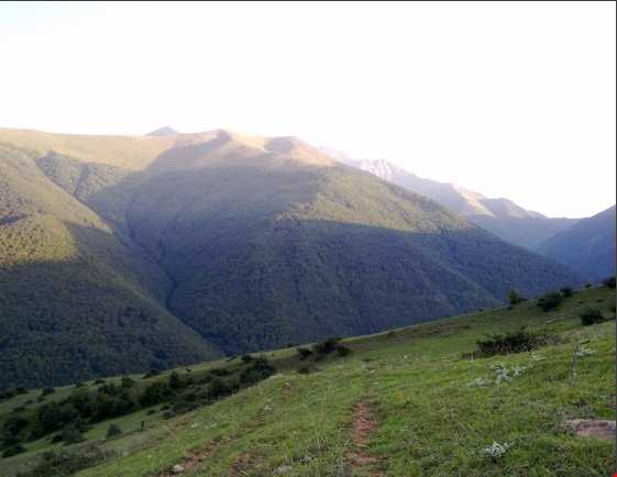 فیروز آباد