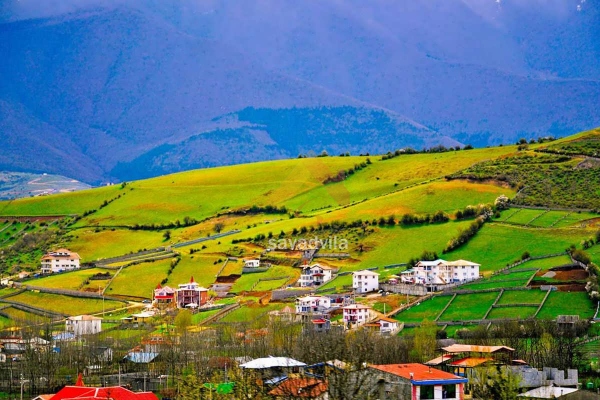 میخ ساز