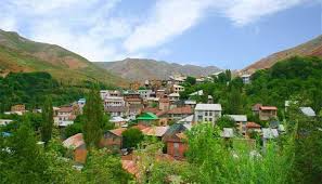 کنیس